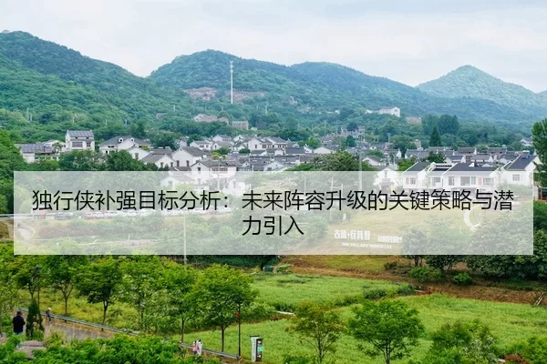 独行侠补强目标分析：未来阵容升级的关键策略与潜力引入