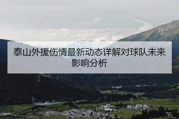 泰山外援伤情最新动态详解对球队未来影响分析